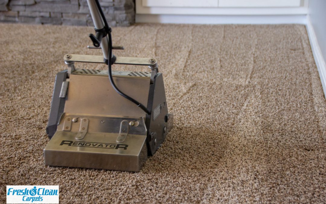 Fresh and Clean Carpets