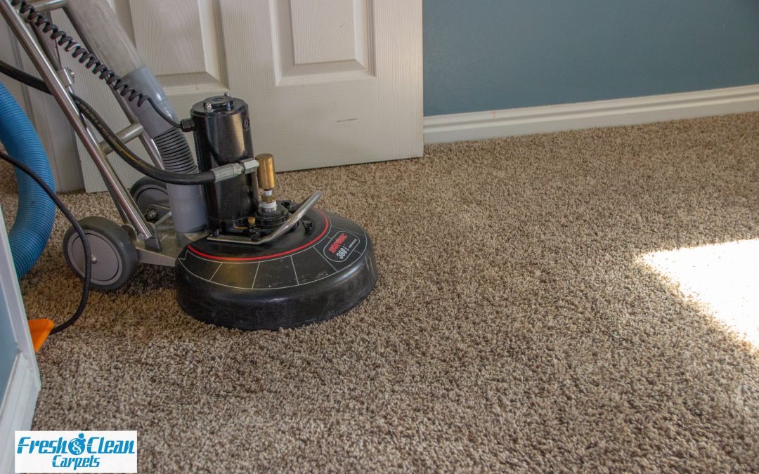 Fresh Clean Carpets